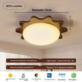 Ceiling Lamps